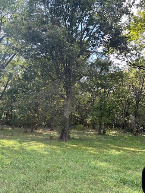 PRAIRIE GROVE OUTLOTS - Land
