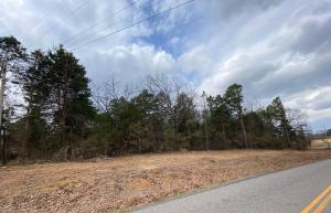This wooded 10 acre track of land sits just outside the Clarksville city limits.  Paved road frontage with water, electricity and a functioning well.  This land is level and would be the perfect spot to build your home on!