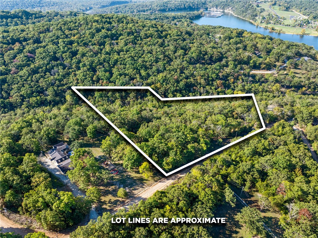 BLAIR BRANCH AREA - Land