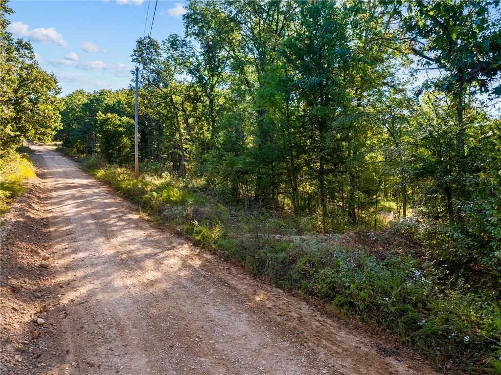 BLAIR BRANCH AREA - Land