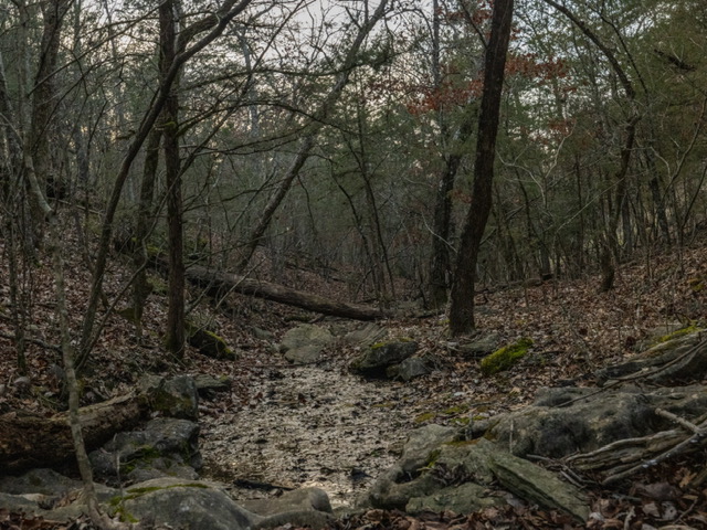 BLAIR BRANCH AREA - Land