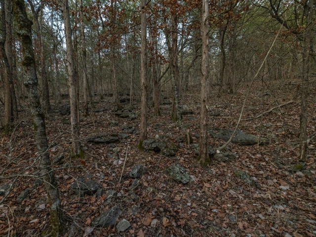 BLAIR BRANCH AREA - Land
