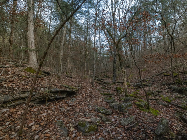 BLAIR BRANCH AREA - Land