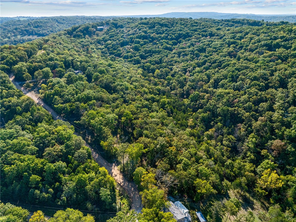 BLAIR BRANCH AREA - Land