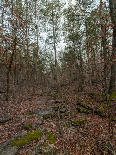 BLAIR BRANCH AREA - Land
