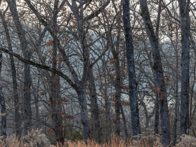 BLAIR BRANCH AREA - Land