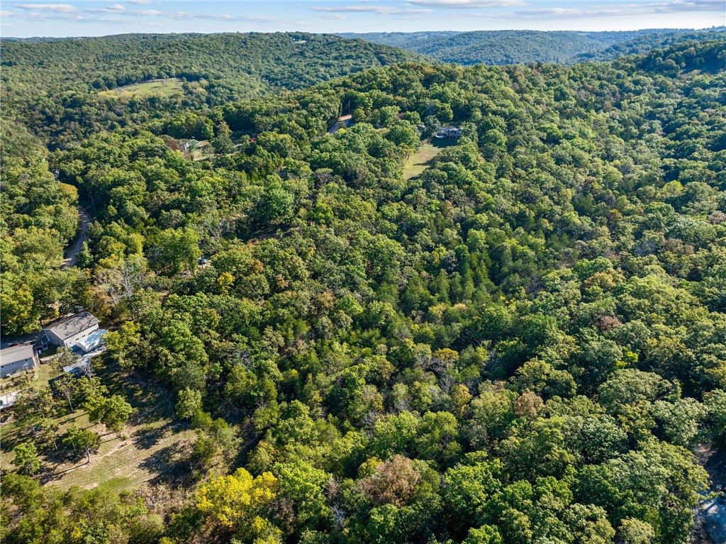 BLAIR BRANCH AREA - Land