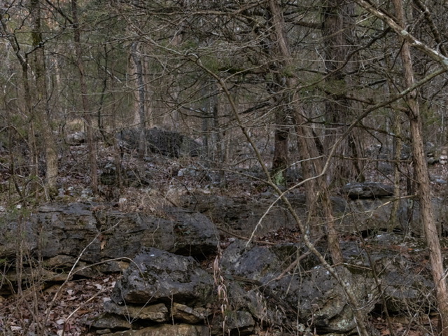 BLAIR BRANCH AREA - Land