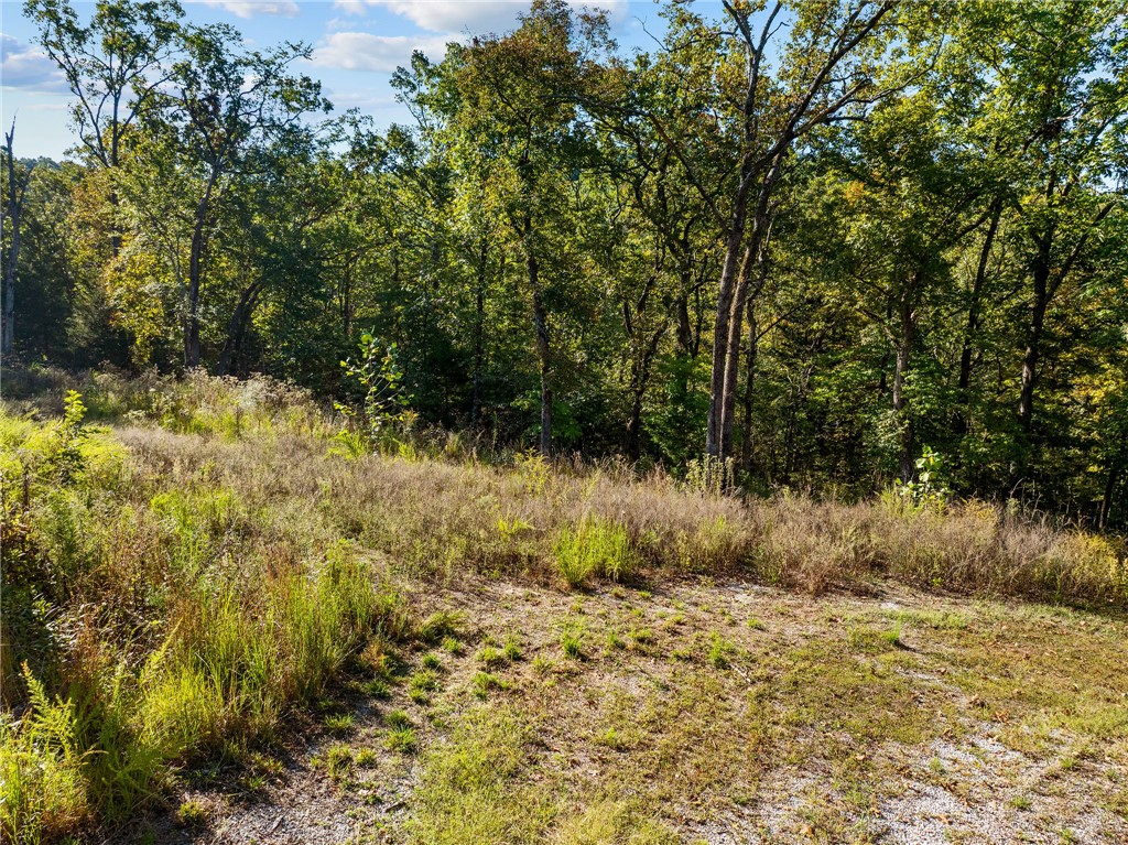 BLAIR BRANCH AREA - Land