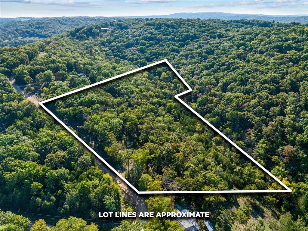 BLAIR BRANCH AREA - Land