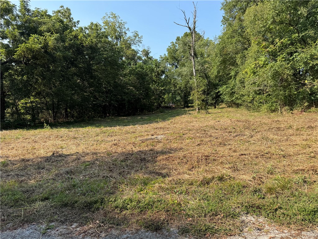 Rare opportunity! Offering 11 city lots with endless potential. This raw land provides plenty of space for development—whether you’re looking to build multiple homes, create investment properties, or design your forever home with extra room to grow. Located within city limits and convenient to local amenities, this property is ideal for builders, investors, or anyone seeking a versatile piece of land.  Buyer to verify availability of utilities and all development requirements.