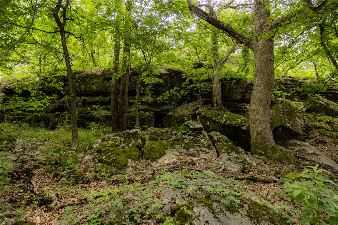 West Fork Outlots - Residential
