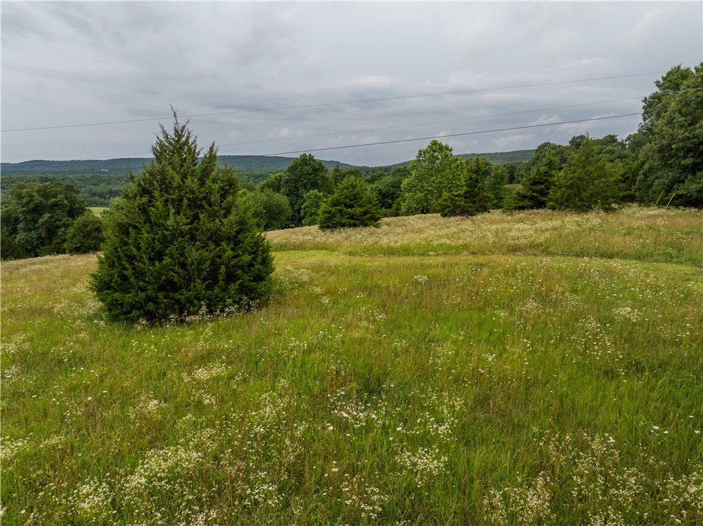 West Fork Outlots - Residential