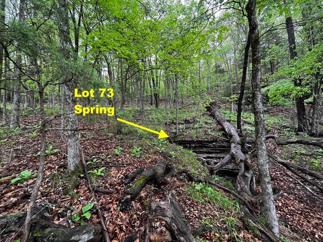 Lost Bridge Village Country Club Rurban - Land