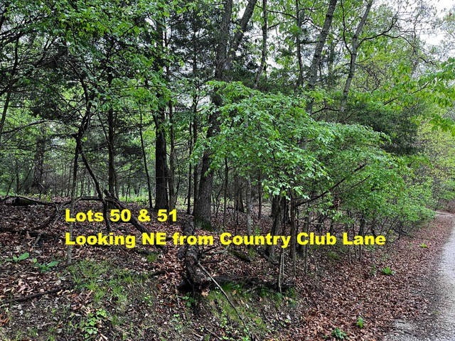 Lost Bridge Village Country Club Rurban - Land