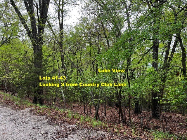 Lost Bridge Village Country Club Rurban - Land