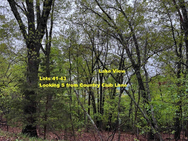 Lost Bridge Village Country Club Rurban - Land