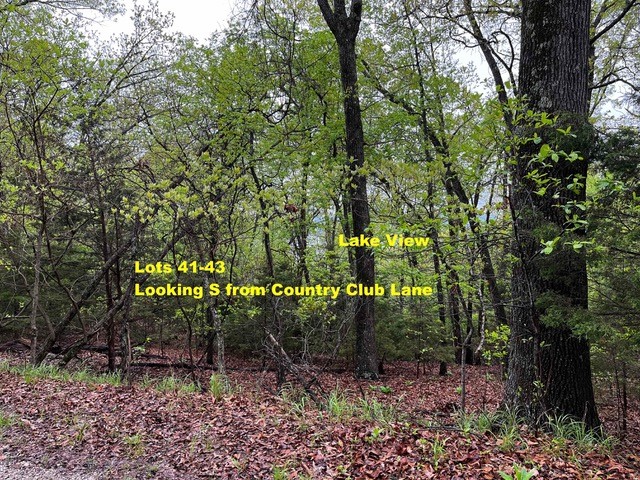 Lost Bridge Village Country Club Rurban - Land
