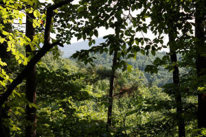 Nice 2.5 acres m/l parcel for home site, southern exposure with view and large trees. Short drive from Jasper on State Hwy 74 East with property located just off the pavement. Rural water system's tap on property.