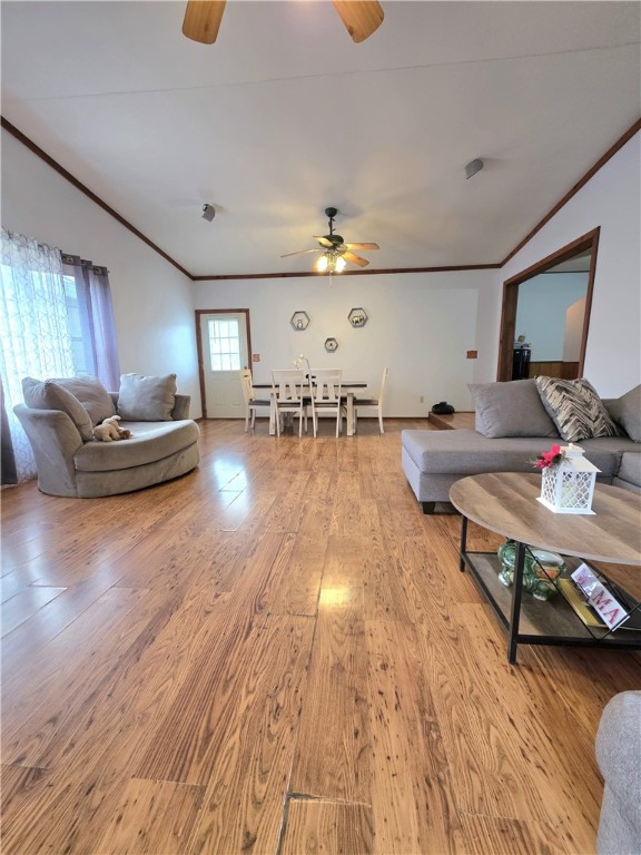 Springdale Outlots - Residential