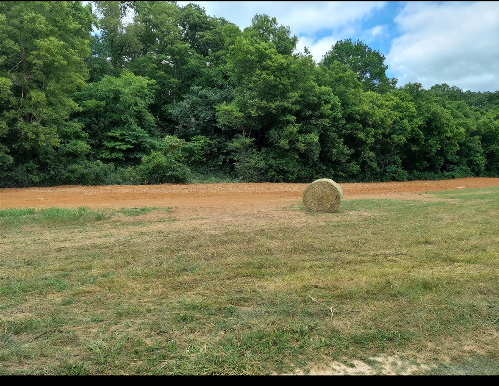 07-20-29-Pea Ridge - Land