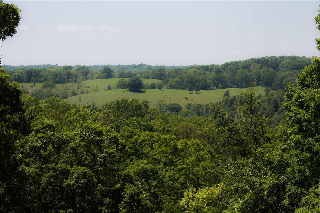 Cardinal Creek - Residential