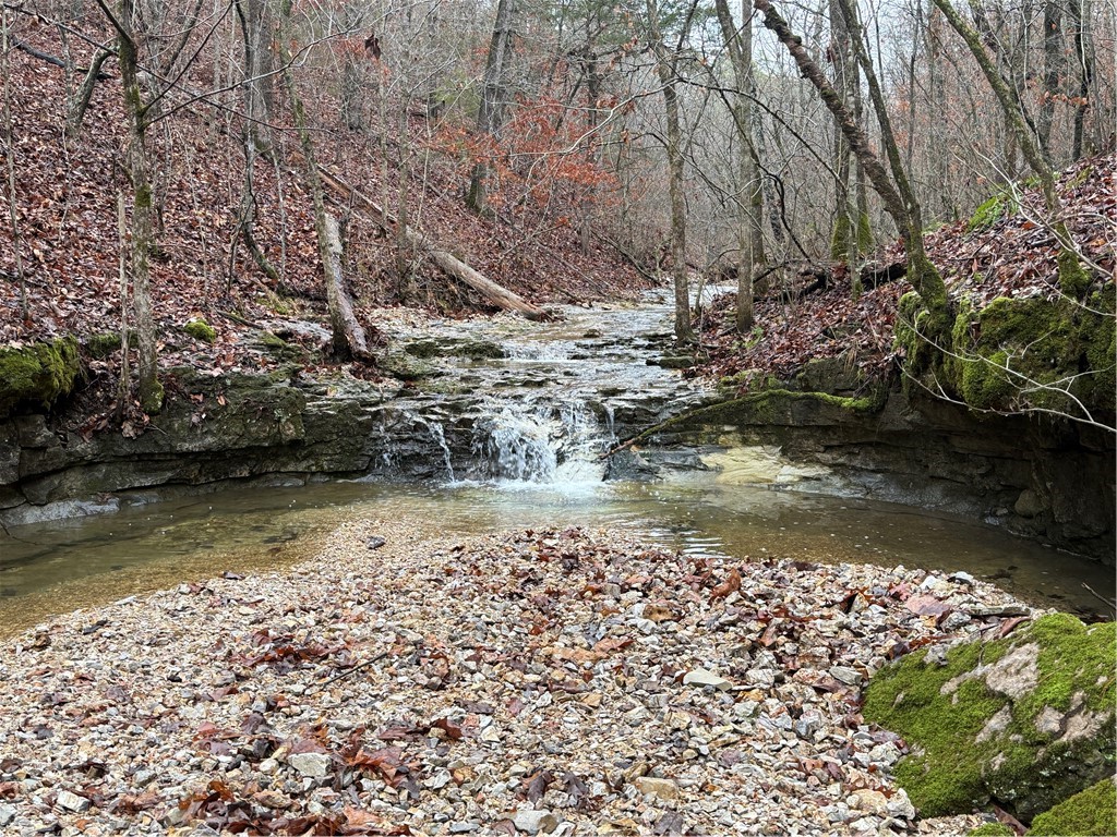 22 acres of pure Ozark freedom, ready for your vision. Towering hardwoods, native wildlife, and the kind of deep-woods privacy that gets harder to find every year. The terrain gives you options: rolling hills for the views, flatter open stretches that build clean. Tuck in a dream home, a weekend cabin, or a hunting retreat. This is a blank canvas with real bones. To top it off theres an approximately 30x40 metal building already there! And you're not roughing it in the middle of nowhere. Charming, historic Eureka Springs, with its arts, dining, and Beaver Lake, sits just minutes away. You get the seclusion without the sacrifice. Acreage like this, this close to town, doesn't last. Walk it once and you'll understand. Bring your boots and your imagination, and schedule your showing today.