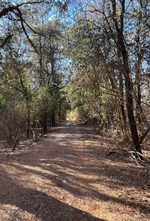 17-16-30 Fayetteville Outlots - Land