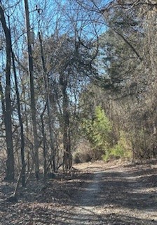 17-16-30 Fayetteville Outlots - Land