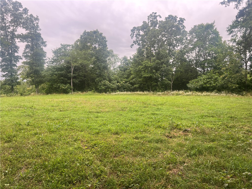 17 +/- Acres of Ozark Potential Near Elkins & Fayetteville! Escape to the peace of the country without sacrificing city conveniences. This gorgeous 17 +/- acre property on Downing Road offers the perfect canvas for your dream estate, homestead, or private retreat.
Located just minutes from everything Elkins has to offer and only a short drive into Fayetteville, this land provides a prime location. The local high school is just a few miles away, making morning commutes a breeze. The property is remarkably ready for your vision, featuring a house pad already cleared in the southeast corner to save you time and prep work. There are also plenty of additional building sites scattered across the acreage, giving you total flexibility on where to position your dream home. Adding to the property is a small wet weather creek. Please note that the buyer will need to install a well. Property will need to be surveyed out and approved by county.