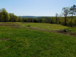 40 acres bordering Ozark National Forest on 2 sides with a spectacular view. Home place has electricity on site, a drilled well and rural water is also available. Property has a small water fall and other neat limestone features. Approximate 3 acres of pasture that could be used for horses or livestock for a small hobby farm. Property has trails for ATV riding, hiking or walking. Multiple building spots, all with outstanding views. Abundance of wildlife to include deer and turkey. Located in the Buffalo National River region in the beautiful Ozark Mountains.This area provides outstanding recreational opportunities of the Ozark National Forest and Buffalo National River. Property is just a short drive from Jasper, Arkansas and is in the heart of the Ozark National Forest.