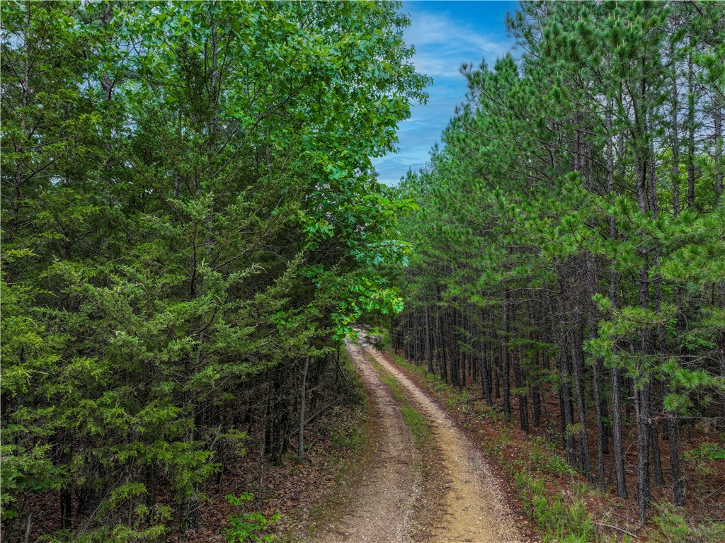 Thunder Ridge - Land