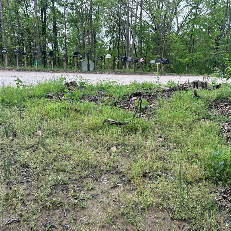 Posy Mountain Ranch Unit 4 Rurban - Land