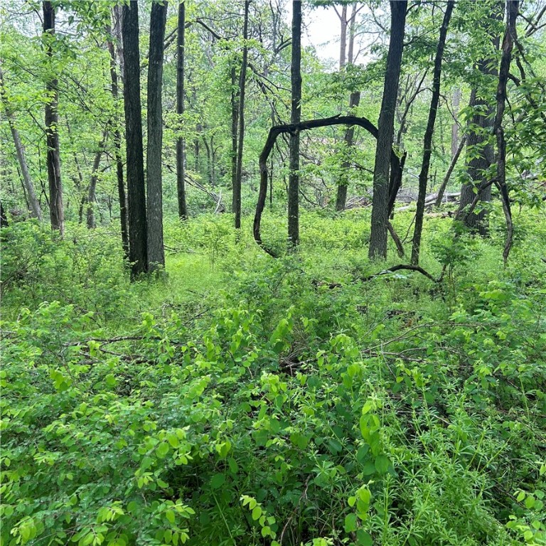 Posy Mountain Ranch Unit 4 Rurban - Land