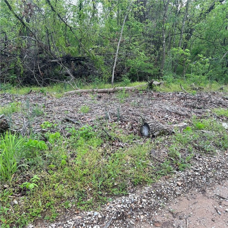 Posy Mountain Ranch Unit 4 Rurban - Land