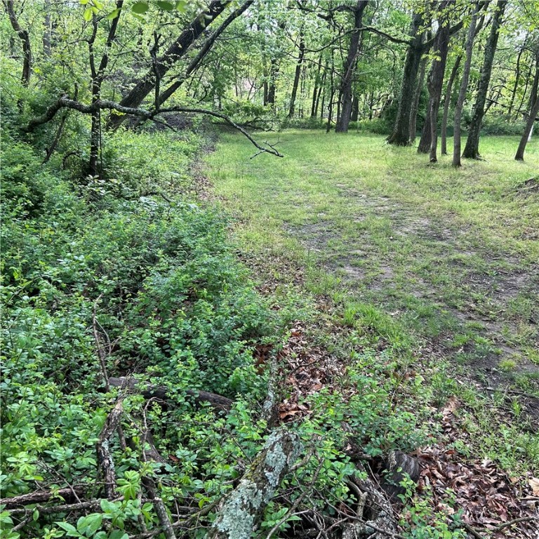 Posy Mountain Ranch Unit 4 Rurban - Land