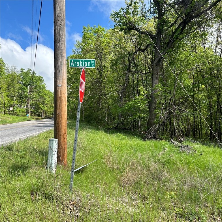Posy Mountain Ranch Unit 4 Rurban - Land