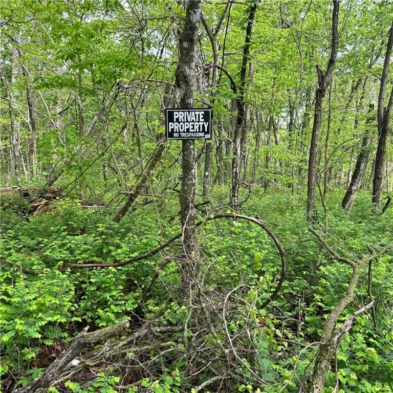 Posy Mountain Ranch Unit 4 Rurban - Land