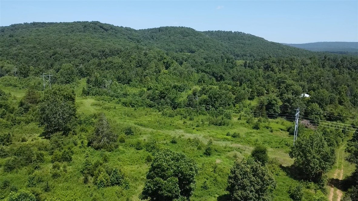 Discover 20 acres of peaceful land north of Dover, a perfect rural escape offering privacy, beauty, & incredible recreational opportunities. This tract will be sectioned off of a larger parent parcel and includes a 40x60 barn, ideal for equipment, livestock, storage, or future development as well as a large pond.
A mobile home of no value sits on the property, offering an existing homesite with utilities in place including a year round artesian well — ready for your new build or cabin retreat. Enjoy beautiful mountain views and the freedom of wide-open space.
Located just minutes from the Ozark National Forest, Piney Creek Recreation Area, and popular ATV trails, this property is a dream for outdoor lovers. Enjoy hunting, fishing, floating, hiking, and riding ATV’s right in your backyard.
Only 30 minutes to shopping and amenities, yet surrounded by nature and quiet.
No restrictions. Whether you're looking for a weekend getaway, a homestead, or a recreational haven, this property offers endless potential.