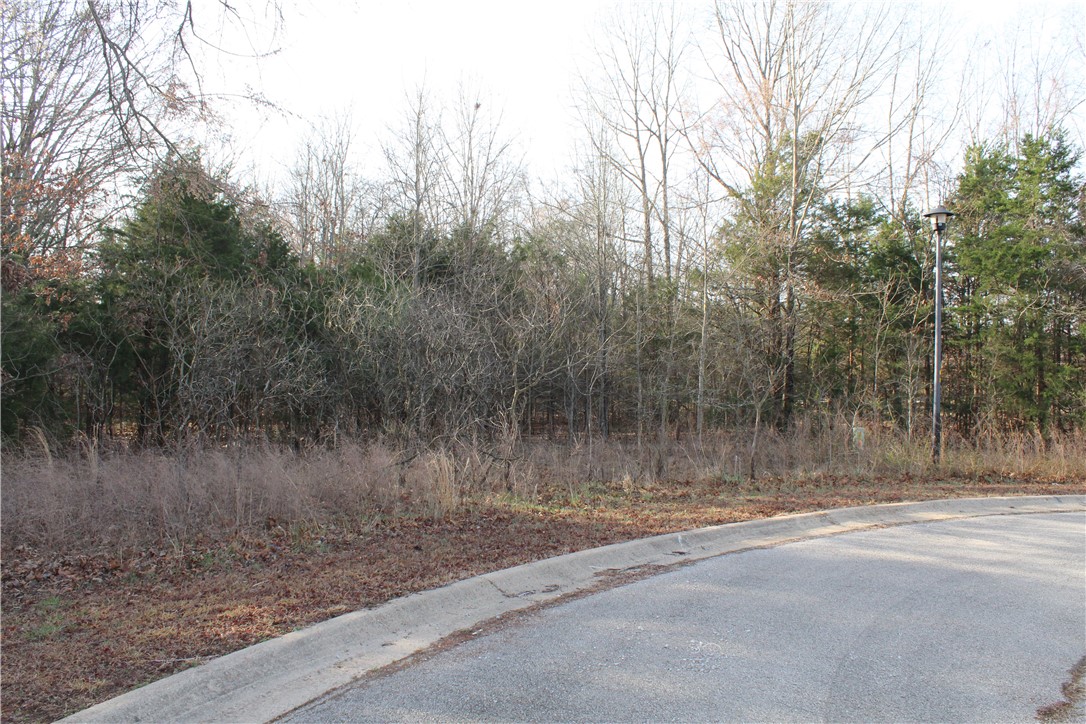 Very nice level lot in Deerfield Subdivision.  Paved Streets, curbs, underground utilities.  Lot also has city water/sewer.  This location is less than a mile from Brown Beach and public boat launch on Bull Shoals Lake.  Come build your dream home and enjoy the beautiful Bull Shoals Lake and White River and be close to all Bull Shoals has to offer.