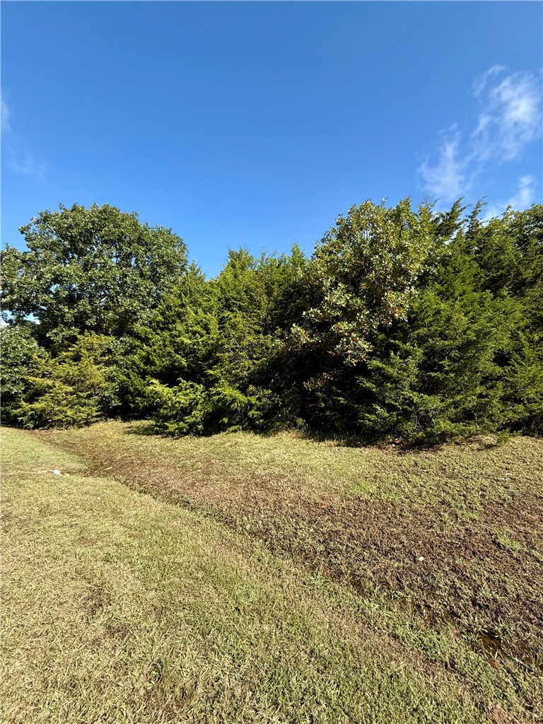Build your dream home on top of Whitney Mountain, the highest point in Benton County, and stroll around the quiet neighborhood to enjoy spectacular views of Beaver Lake. Lost Bridge Village community amenities include an air strip, pool, community center, library, multi-use court all in the rolling hills and stunning natural landscape along the shores of the lake. 
Level lot with electric and Lost Bridge Water & Sewer at the street.