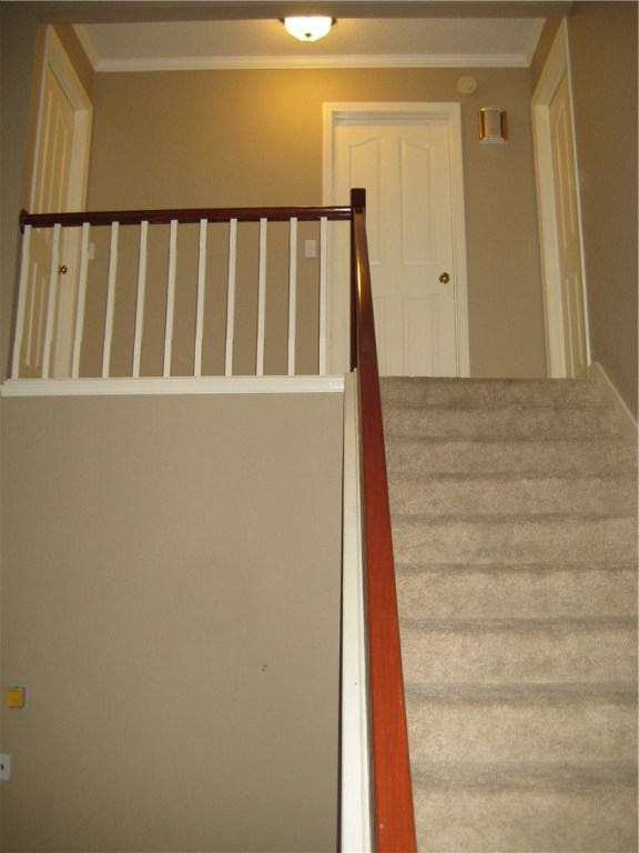 Cambridge Park - Residential Lease