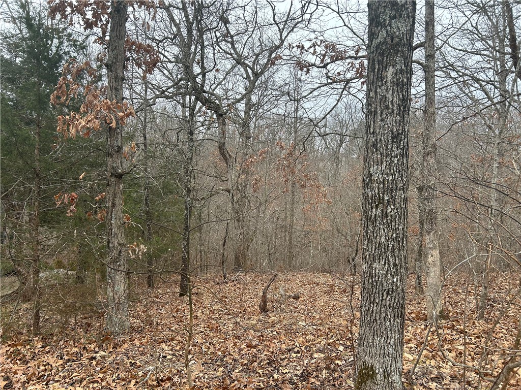 Nice lot on .35 acres on a cul-de-sac. Not a lot of neighbors. Enjoy the wildlife & birds. Lots of deer, squirrels, so many birds, etc. Bella Vista offers swimming, golf, pickleball, tennis, boating, fishing, walking  & biking trails, etc. Close to Branchwood activity center. Come live and play in Beautiful Bella Vista.