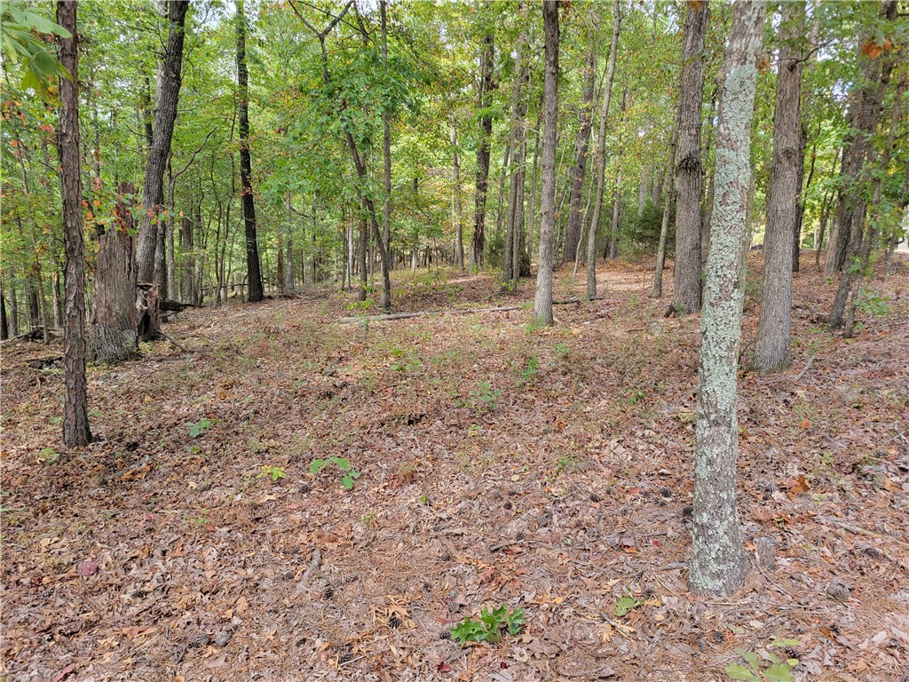 Hilbruner Sub - Land