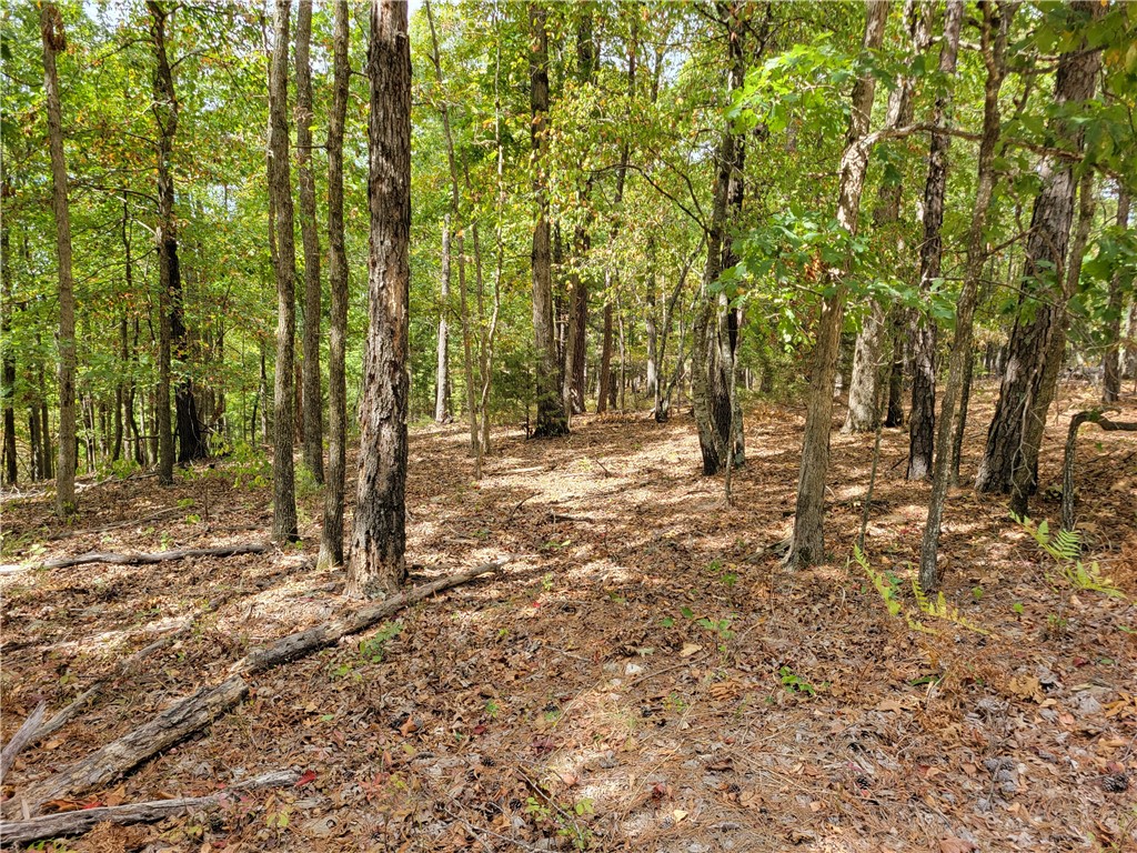 Hilbruner Sub - Land