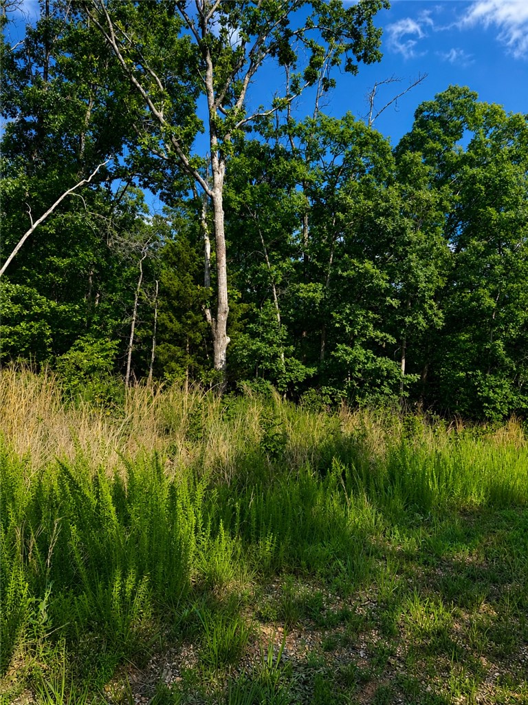 This lot offers a private wooded setting on a quiet cul-de-sac. The property features a moderate slope that becomes steeper toward the rear portion of the lot, creating potential for a custom home. Mature trees and dense greenery provide a peaceful, secluded atmosphere, while the cul-de-sac location offers minimal traffic and added privacy.