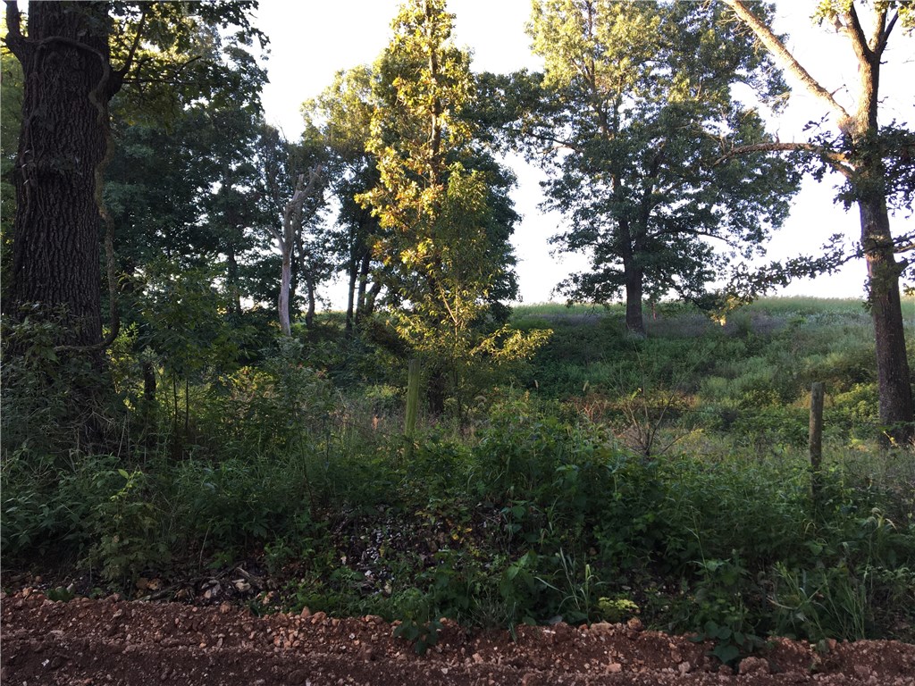 Situated just off of Hwy 112, this 1.79 acre lot is a rare find in Tontitown.  This is a perfect place to build your dream home.  2,000 sq ft minimum, House and out building's exterior materials must match, Call List Agent for additional details.  A soil test is available.