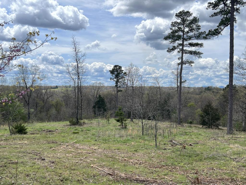 Nice View!  Come check out this 58.84 acres with a 32'x18' shop building with a concrete floor, no restrictions, some large timber, some pasture, great hunting, electric, water well, phone, seasonal creek, stocked pond, and county road access.  This is a must see property.