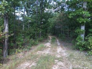 40 Wooded Acres M/L!!  The land is near St. Joe and only 6 miles from the Buffalo National River!! Secluded and quiet with a great homesite location. Electric and phone available.  Lots of wildlife and excellent hunting!!