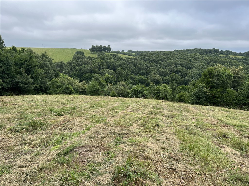 Nice private view with a great location to build between Branson, MO and Harrison, AR just off the highway on a county road. The property is 8.46 acres m/l with has no restrictions, some pasture, and there is electric available down the road. This is a must see.